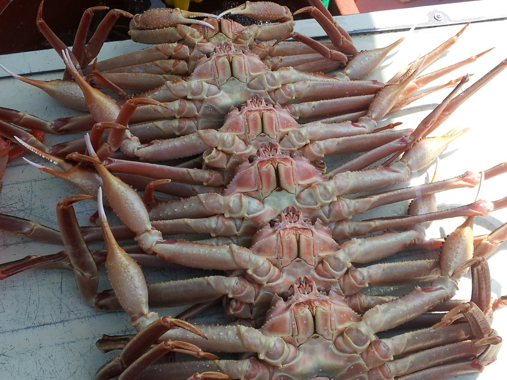 오육회 이미지