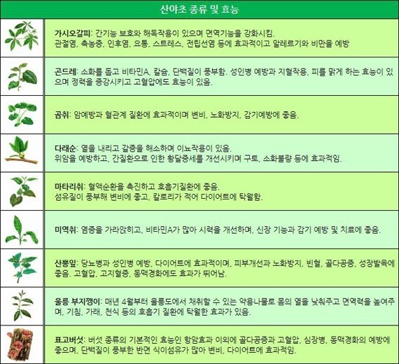 산야초 이미지