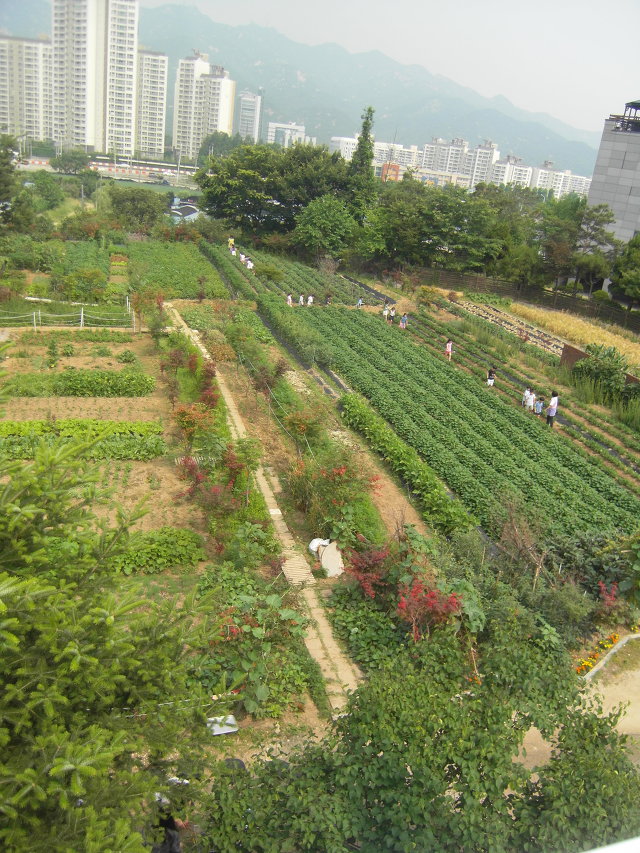 꽃마리어린이집 이미지