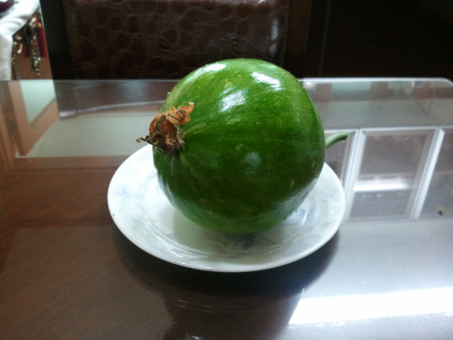 욕심많은바보 이미지