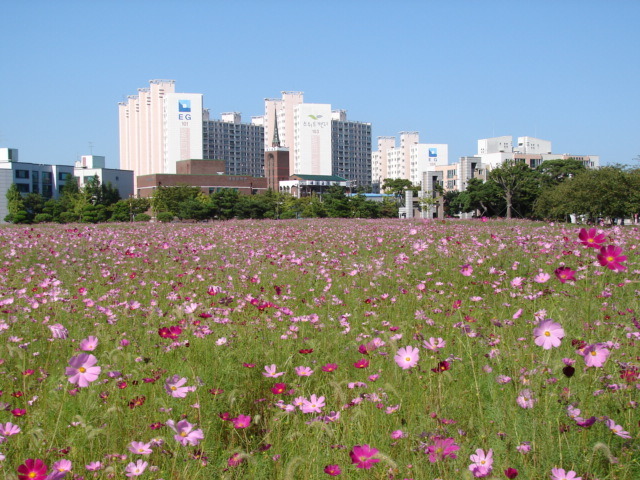 전북대학교 익산캠퍼스 이미지