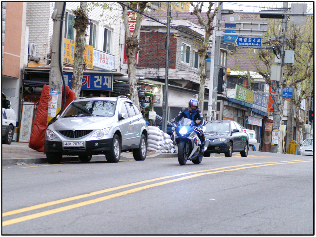 시화낚시 이미지