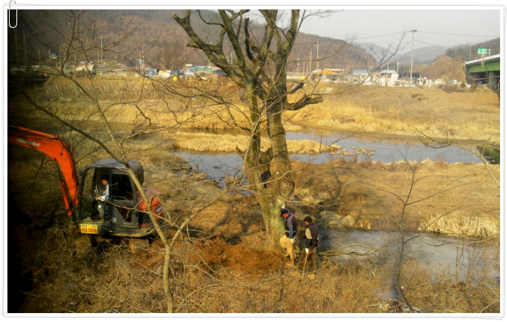 수림조경 이미지
