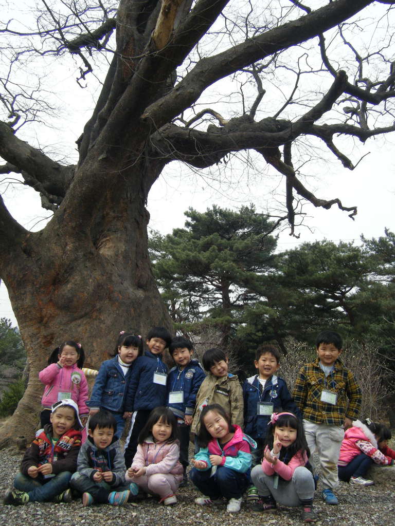 시립꿈나무어린이집 이미지