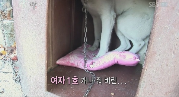[짝] 역대 최고 찌질남 16기 남자5호 마지막탄 ㅋㅋㅋ | 인스티즈