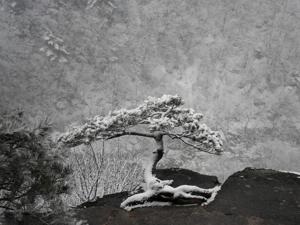 삼화사 이미지