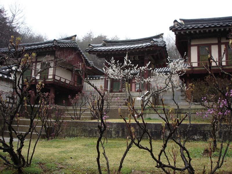 서광서적 이미지