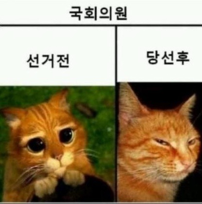 두둥 이미지
