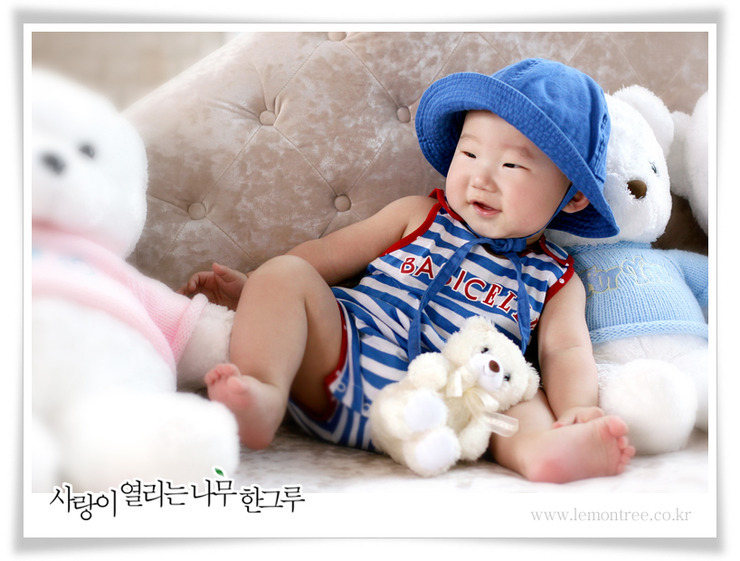레몬트리 이미지