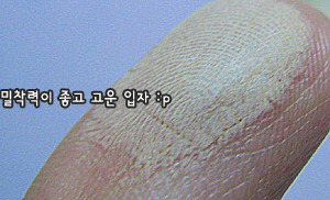 플로리스 이미지