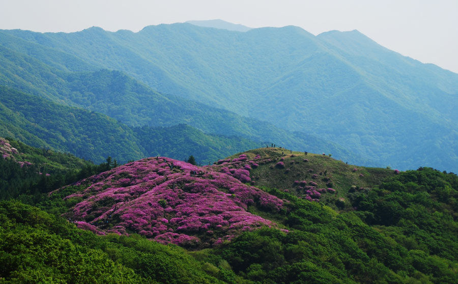 밝은동산 이미지