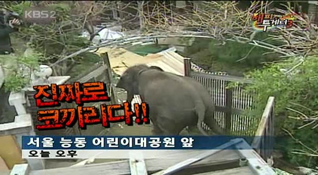 이상우 해피투게더 레전드 ㅋㅋㅋ | 인스티즈