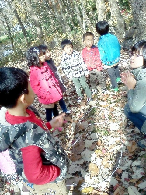 영광유치원 이미지