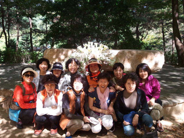 하올 이미지
