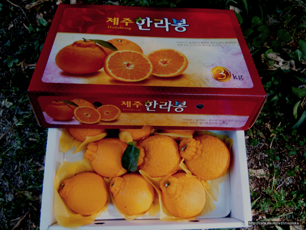 해오름농원 이미지