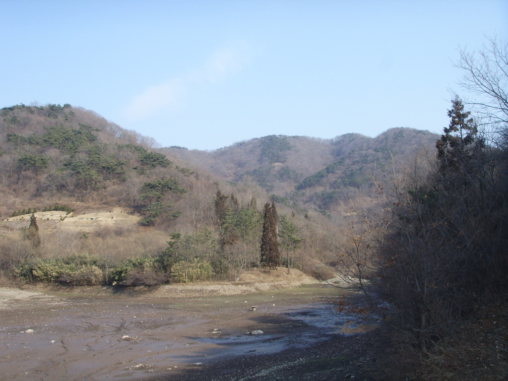 세랑 이미지