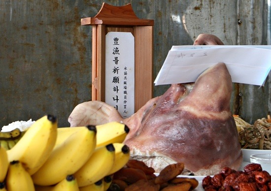 완도수산업협동조합 이미지