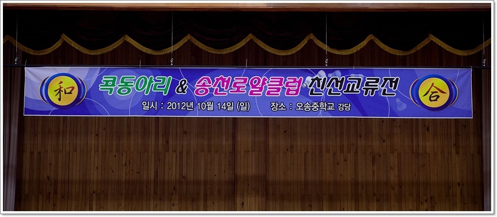 로얄클럽 이미지