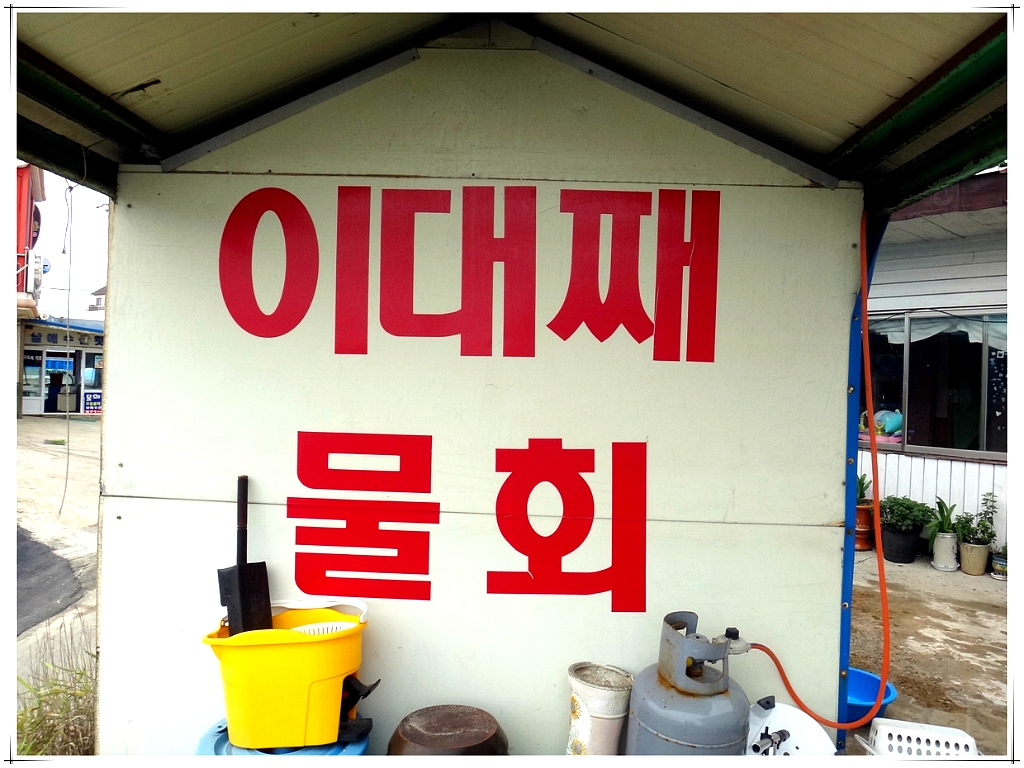 남애항물회 이미지