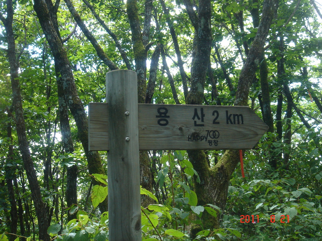 진부1 이미지