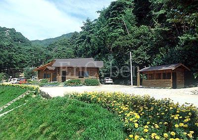 박달재자연휴양림 이미지