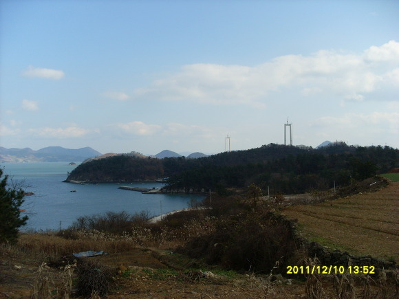나무요일 이미지