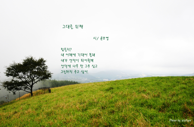 겨울연가