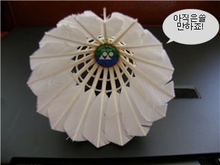그린콕 이미지