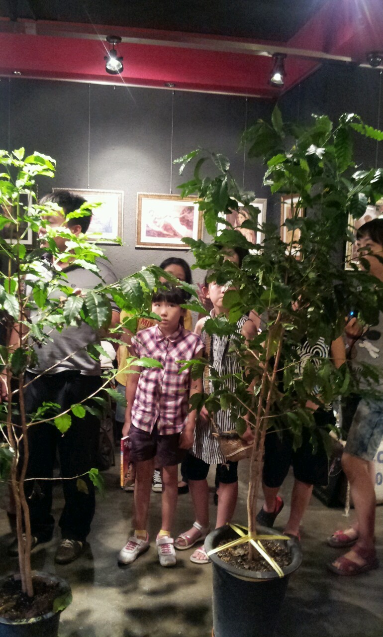 커피갤러리 이미지