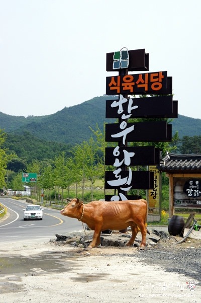 한우와 된장 이미지