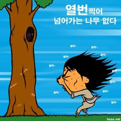 쭈 이미지