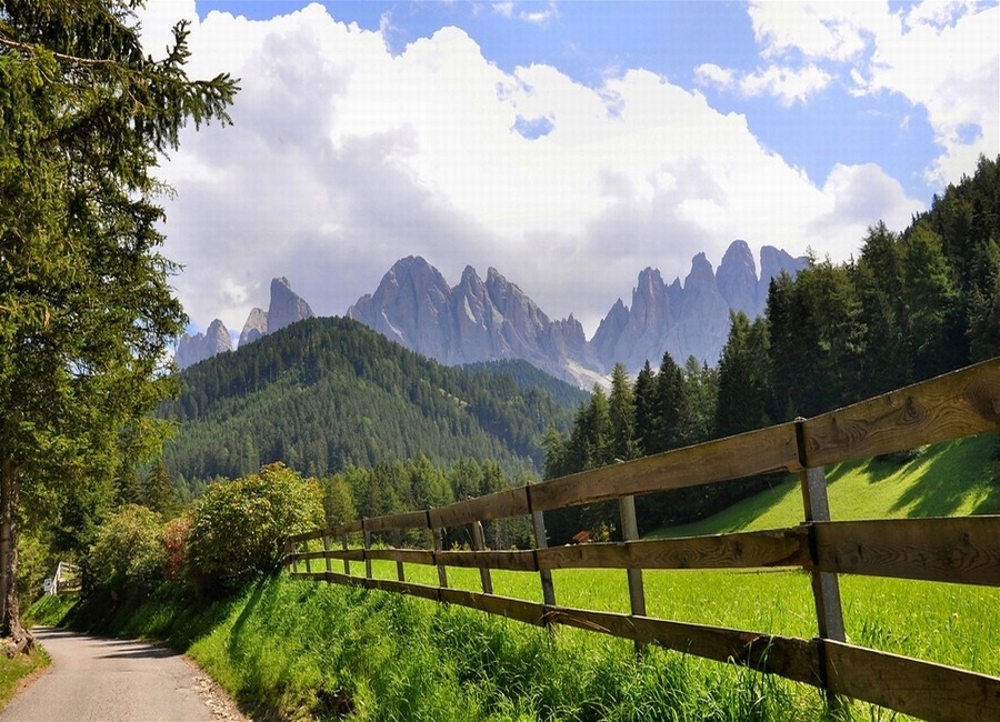 15528F354EFC3AE60B9904