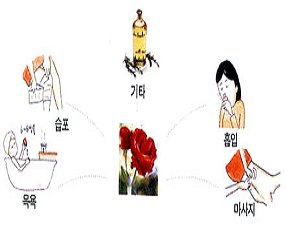 155C800B49B4F94B7EEC48