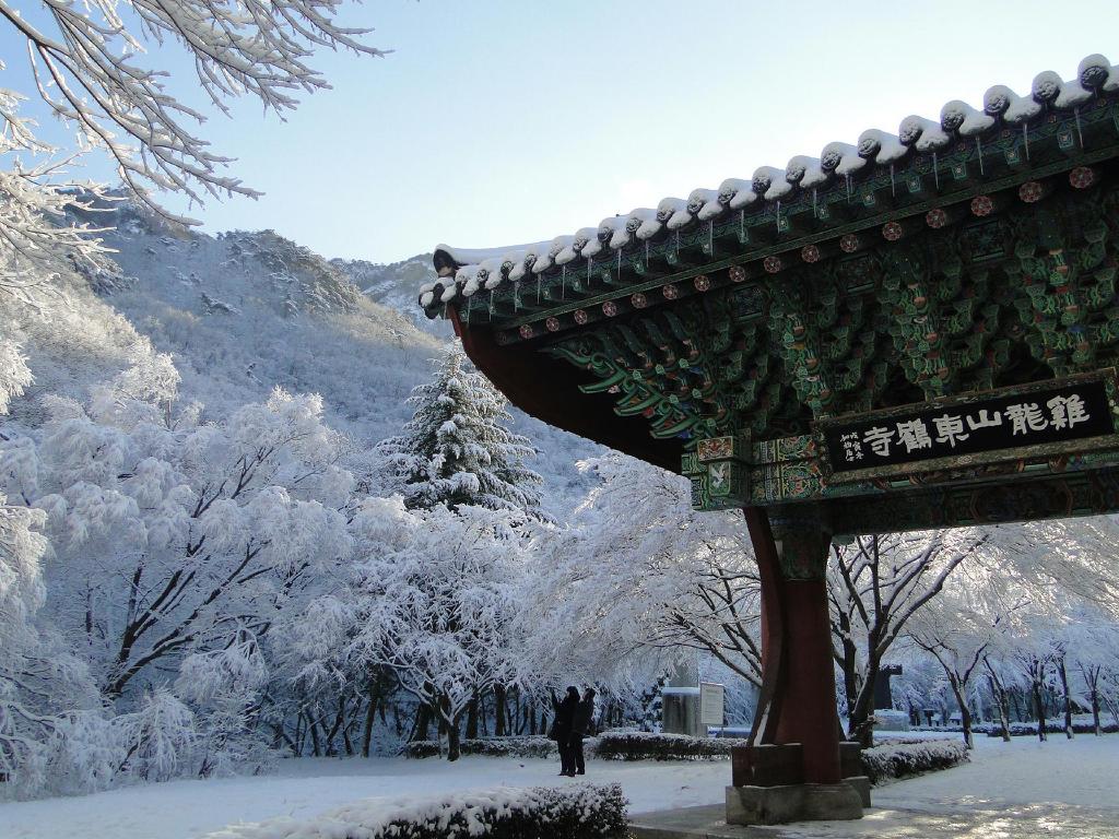 설화 이미지