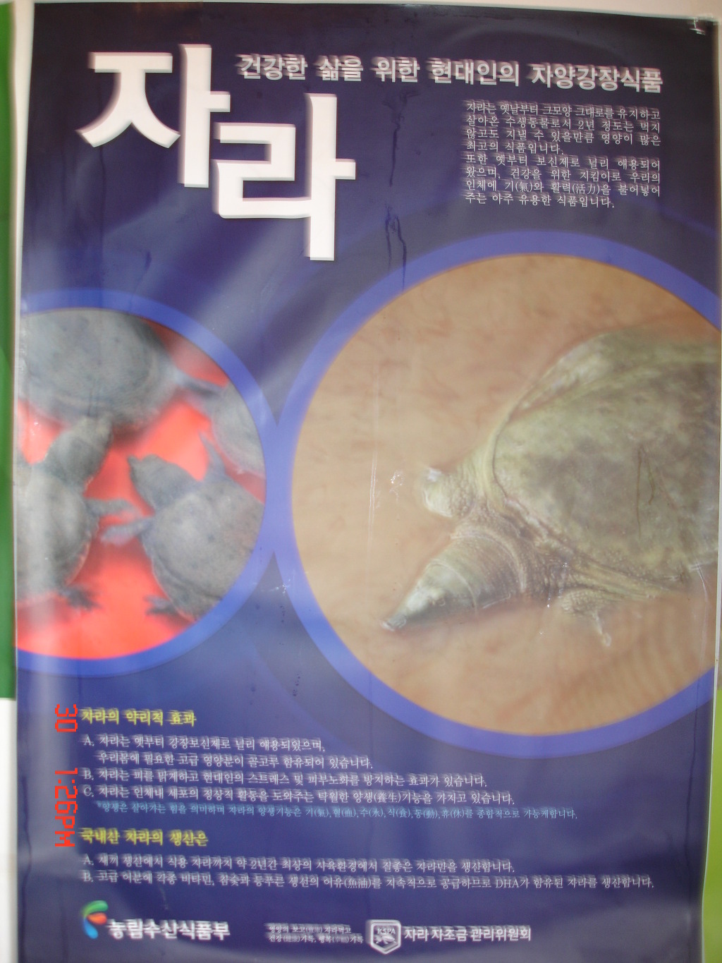 자양식품 이미지