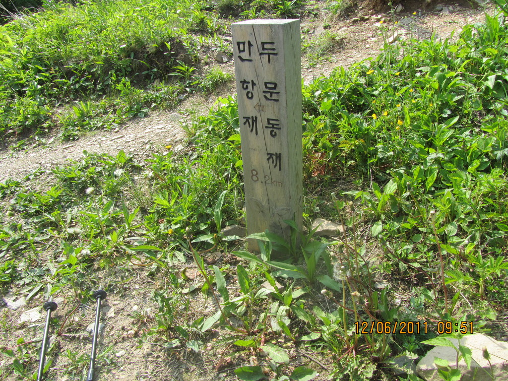 노루메기 이미지