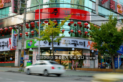 아라쭈꾸미 이미지
