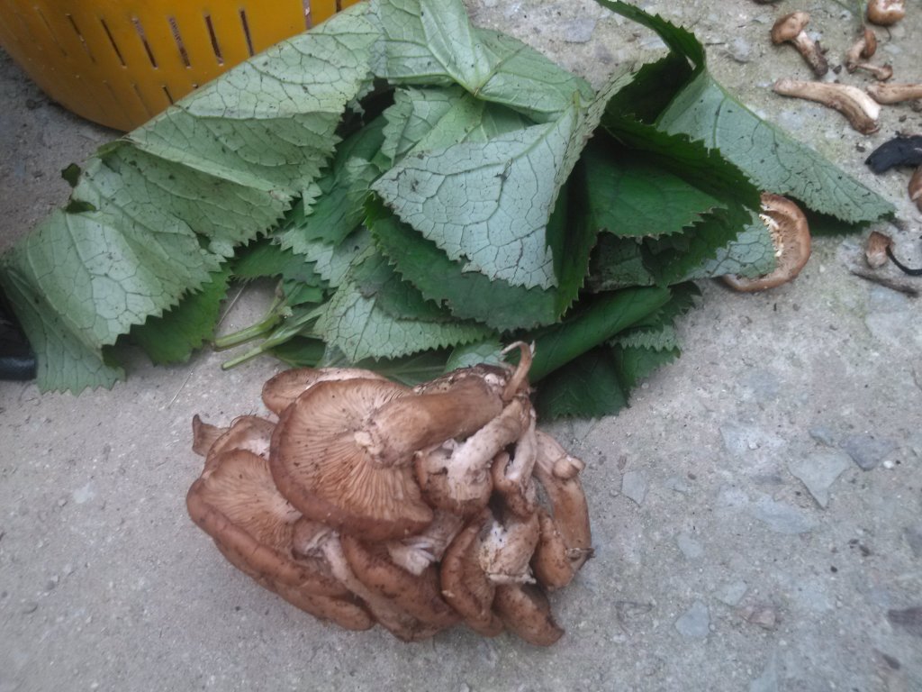 리사장네 이미지