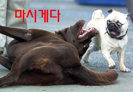 거참 이미지