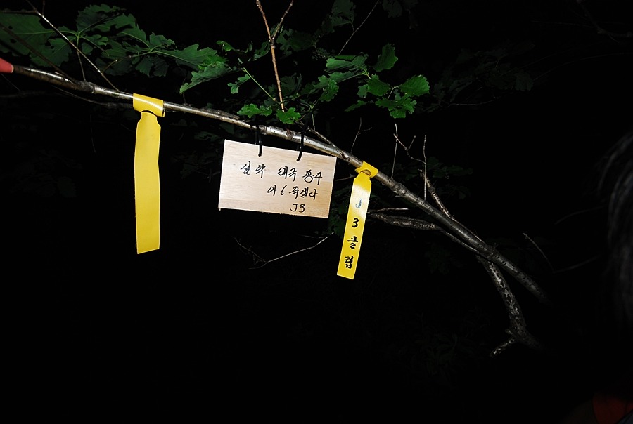마는끼니 이미지