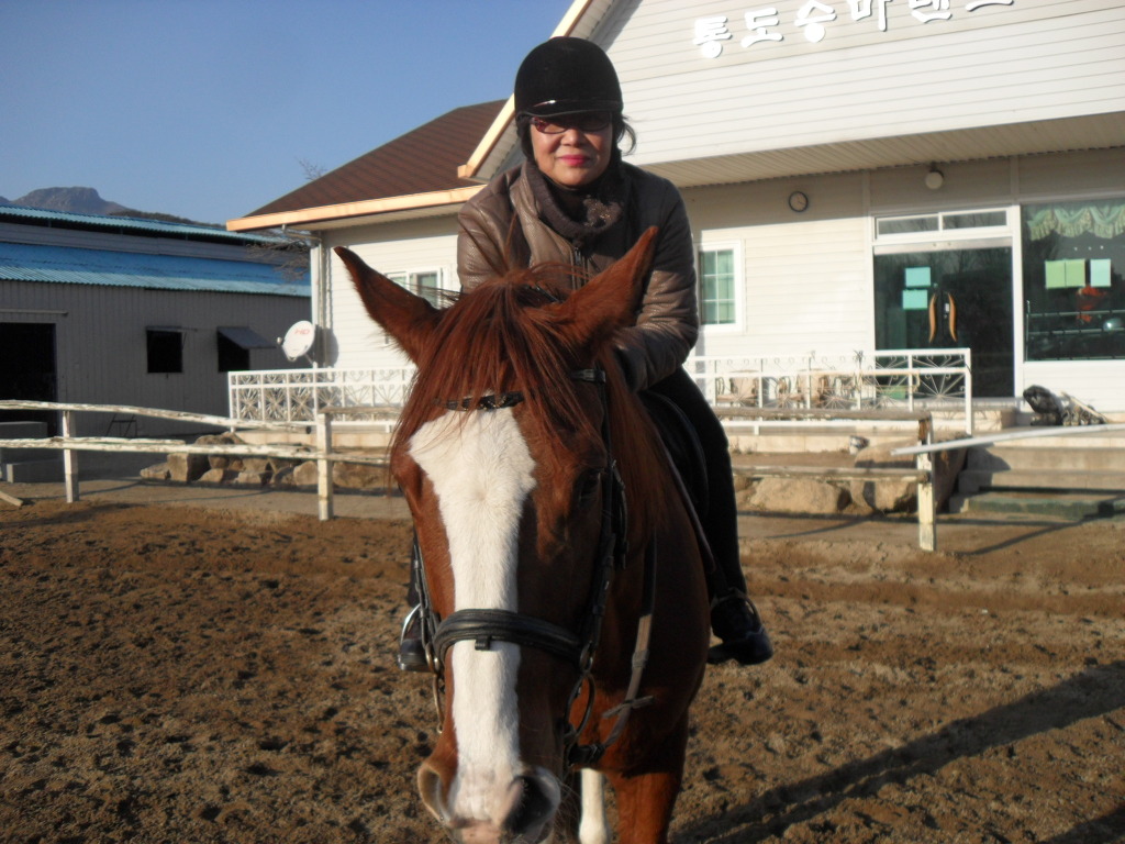 통도승마랜드 이미지