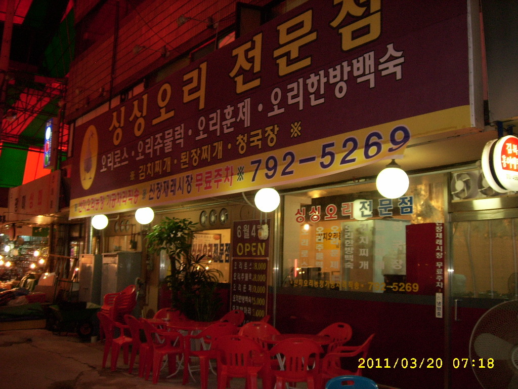 싱싱오리 이미지