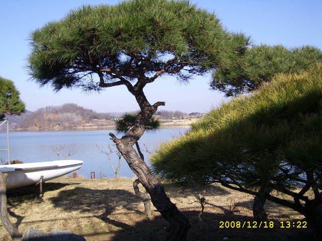소나무가든 이미지