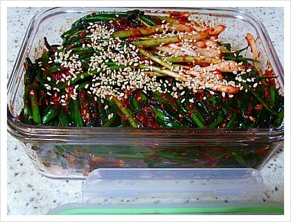 다음중 라면과 먹을수 있는 김치 한가지만 고른다면 | 인스티즈