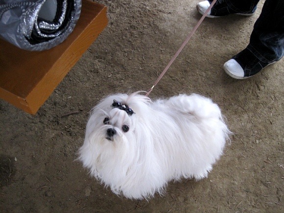 사랑카페 이미지