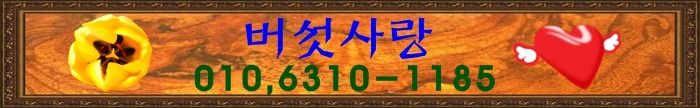 세인음료식품 이미지