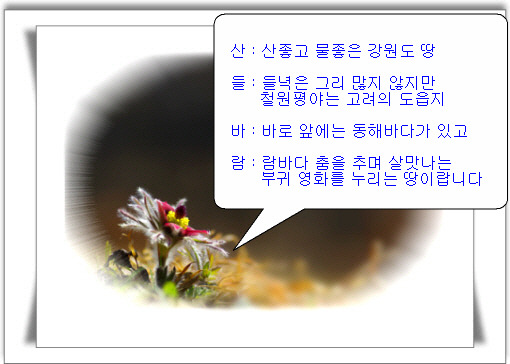빨강풍차 이미지