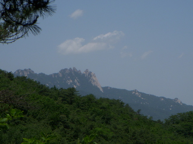 삼성사 이미지