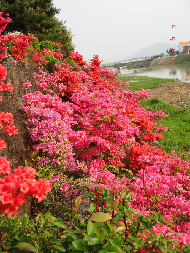 덕산방 이미지