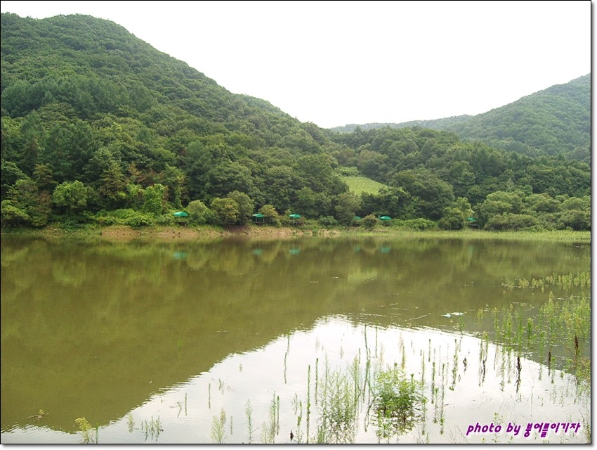 산천초목 이미지